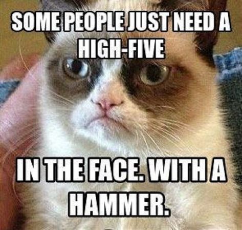 15+ of the Best Grumpy Cat Memes (Rest in Peace) | Mama's Geeky Grumpy Cat Meme, Grumpy Cat Memes, Grumpy Cat Quotes, Grumpy Cats, Cat Jokes, Grumpy Cat Humor, Cat Quotes Funny, Cat Humor, Funny Animal Quotes