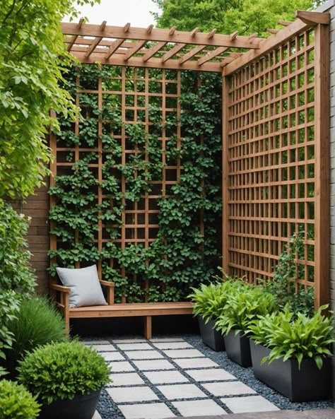 Trellis In Front Of Fence, Clematis Trellis Ideas Climbing Vines, Garden Areas Ideas, Trellis Front Of House, Tiny Backyard Garden, Garden With Trellis, Trellis Ideas For Privacy, Backyard Walls, Modern Garden Trellis