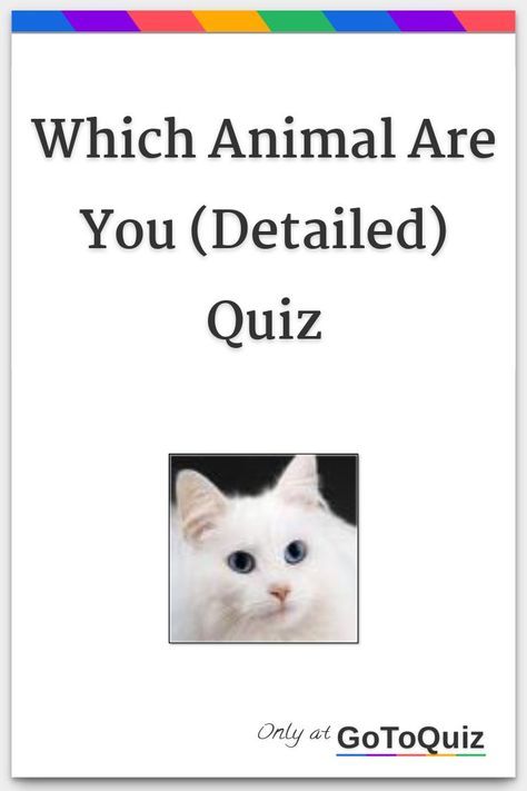 Animal Types, Animal Generator, What Animal Am I, Which Animal Are You, Therian Quiz, Am I A Therian Quiz, Warrior Cats Quizzes, Which Animal Are You Quiz, Spirit Animal Test