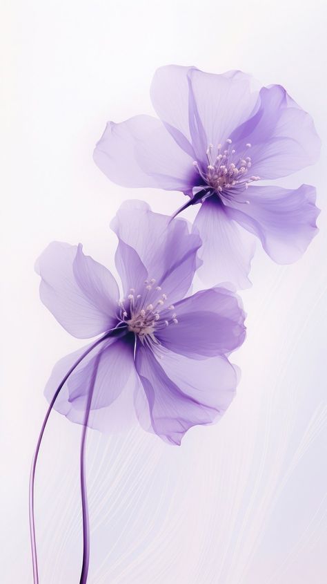 Purple flower background purple outdoors | Premium Photo - rawpixel One Lavender Flower, Purple Samsung Wallpaper, Purple Flower Background Aesthetic, Perpel Flower, Nice Purple Wallpapers, Cute Purple Photos, Cute Purple Backgrounds Aesthetic, Lilac Minimalist Wallpaper, Cute Purple Pictures