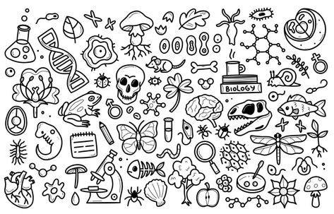 Biology Drawing Ideas, Biology Doodles, Elements Science, Biology Drawing, Doodle Art Ideas, School Doodles, Biology Projects, Drawing Ideas Color, Hand Drawn Elements