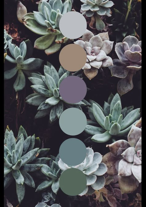 Blue Green Purple Interior Design, Succulent Color Palette Wedding, Wedding Color Schemes Lavender And Green, Grey Green Gold Color Palette, Blue Green Purple Bedroom, Blue Green Violet Colour Palettes, Succulent Colour Palette, Lavender Green Gold Color Palette, Purple Brown Green Aesthetic