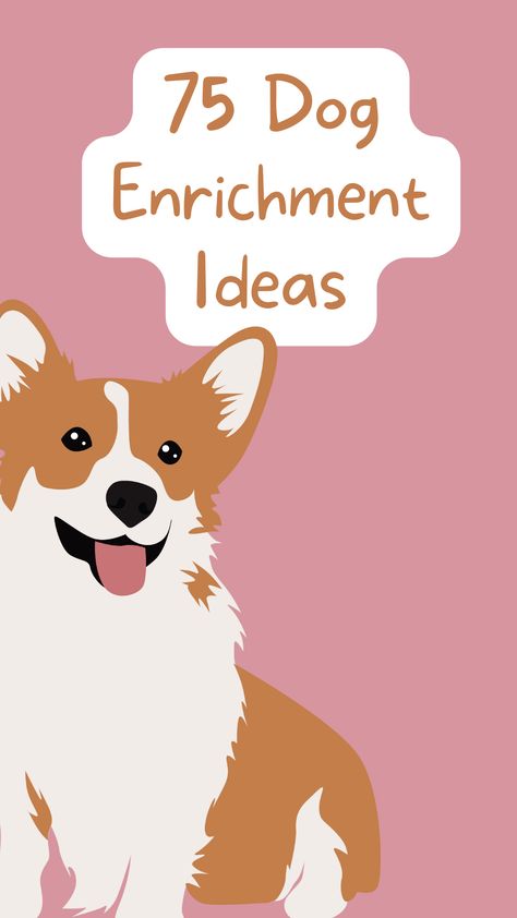 Dog Enrichment Ideas, Bored Dog, Diy Dog Toys, Dog Playground, Dog Enrichment, Dog Games, Dog Information, Cheap Dogs, Indoor Dog