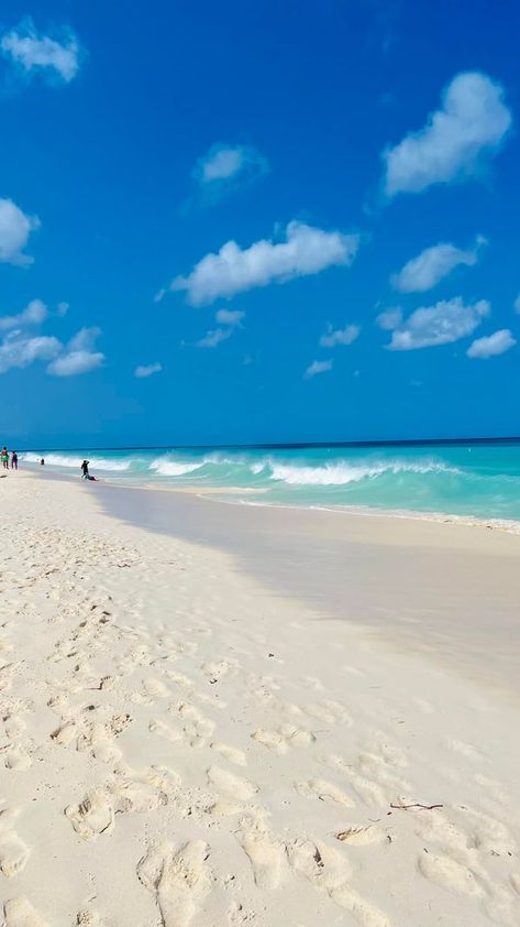 Aruba Nature Photography | Today on Eagle Beach | Facebook Eagle Beach Aruba, Caribbean Cruise, Aruba, White Sand Beach, Beach Sand, Nature Photography, Photography