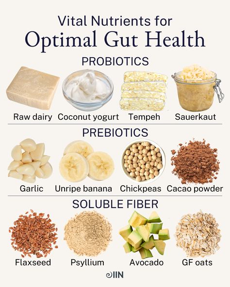 Get it, *gut* it, good. 🥄 Optimize your microbiome, get things moving (you know what we mean), and nourish your gut-brain axis with these 12 critical nutrients.  Want to learn all about how to master your gut health?   Click the link and download our FREE guide!   #prebiotic #probiotic #guthealth #gutbrainaxis #chickpeas #sauerkraut #tempeh #coconutyogurt #avocado #oats #flaxseed #fiber Gut Health Diet, Gut Health Recipes, Soluble Fiber, Gut Microbiome, Fiber Foods, Healing Food, Food Facts, Healthy Digestion, Fermented Foods