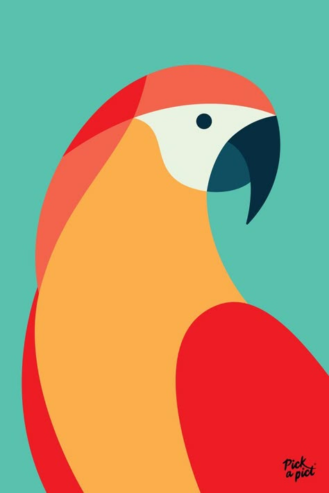 Abstract parrot illustration created from shapes filled with complementary colours. Colours: mint, red, orange, white & dark blue. Digital Art Friends, Art Videos Tik Tok, Beautiful Acrylic Painting, Parrot Art, Parrots Art, Simple Canvas Paintings, Canvas Painting Designs, Small Canvas Art, Diy Canvas Art Painting