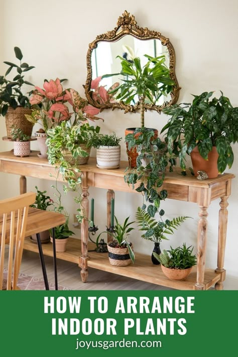 Indoor Plants Styling Living Rooms, Houseplants Decor, Unique Console Table, Plant Display Ideas, Indoor Plants Styling, Plant Styling, Indoor Plant Wall, Hanging Plant Wall, Living Room Plants