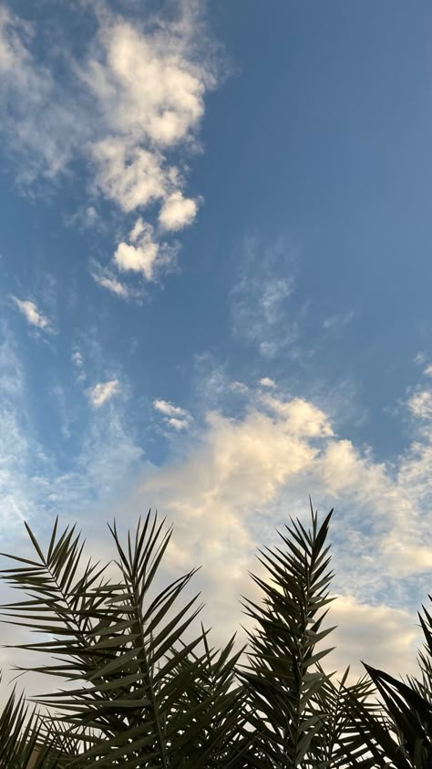 Sky Nature Aesthetic, Cloud Photos, Sky Photography Nature, Nature Instagram, Pretty Phone Wallpaper, Simple Phone Wallpapers, Dark Nature Aesthetic, Profile Pictures Instagram, Morning Sky