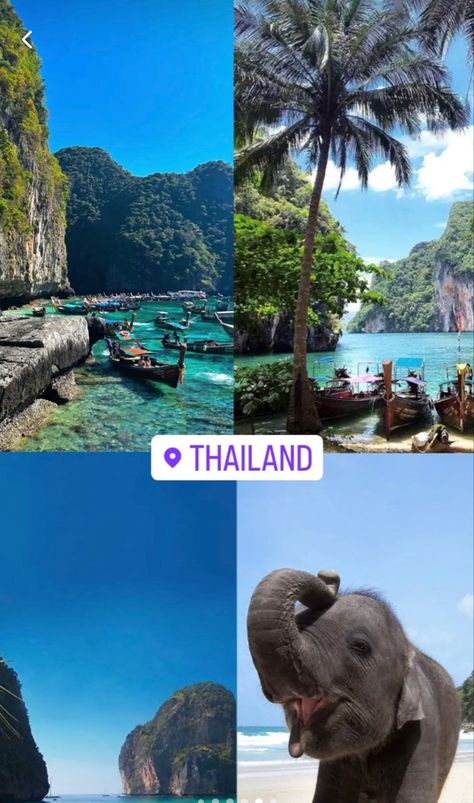 Cheap Airline Tickets, Thailand Vacation, Travel Infographic, Top Places To Travel, Book Cheap Flights, Travel Inspiration Destinations, Adventure Travel Explore, Dream Vacations Destinations, Places In The World