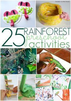 Rainforest Activities for Preschoolers - Pre-K Pages. A collection of the 25 best preschool activities for a rainforest theme in your preschool or kindergarten classroom! Jungle Lesson Plans Preschool, Rainforest Worksheets, Preschool Rainforest, Rainforest Preschool, Rainforest Crafts, Preschool January, Preschool Jungle, Jungle Activities, Rainforest Activities