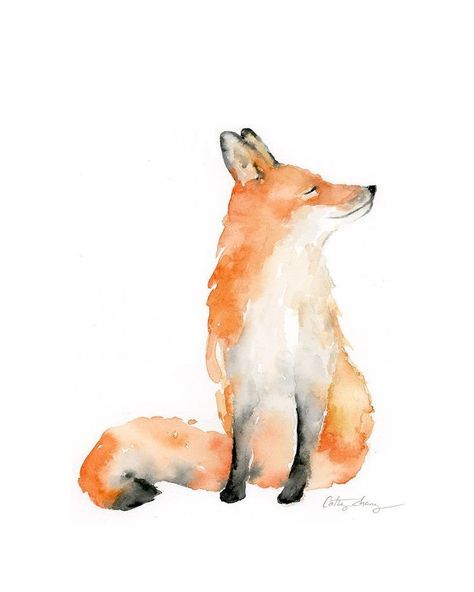 Fox Watercolor, Animals Watercolor, Fox Painting, Watercolour Ideas, Canvas For Beginners, Watercolor Paintings For Beginners, Watercolor Paintings Easy, Watercolor Painting Techniques, 수채화 그림