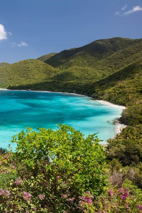 The US Virgin Islands are home to a number of the top beaches on Earth. This is especially true on the island of St. John. Cinnamon Bay Beach is one of those truly fabulous beaches, BUT you hardly ever hear about it! I’m convinced that the only reason you don’t hear more about it is […] The post Cinnamon Bay Beach & Campground (St John, US Virgin Islands) appeared first on Avenly Lane Travel. Best Beaches In The Us, Things To Do In St John Virgin Islands, Cinnamon Bay St John, St John Virgin Islands Resorts, Living In St Thomas Virgin Islands, St John Virgin Islands, Virgin Islands National Park, The Us Virgin Islands, St. John’s Virgin Islands