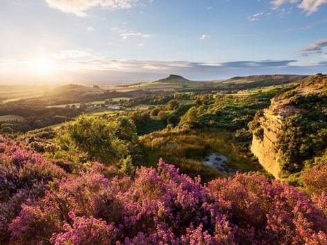 Roseberry Topping, North York Moors National Park, Robin Hoods, Yorkshire Moors, Whitby Abbey, North York Moors, Yorkshire England, Yorkshire Dales, New Forest