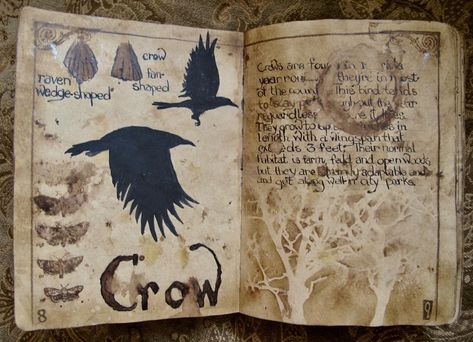 Fantasy Journal First Page, Fantasy Journal Pages Map, Fantasy Journal Aesthetic, Fantasy Journal Pages Ideas, Fantasy Journal Ideas, Dnd Journal Ideas, Rpg Journal, Fantasy Notes, Fantasy Journal Pages