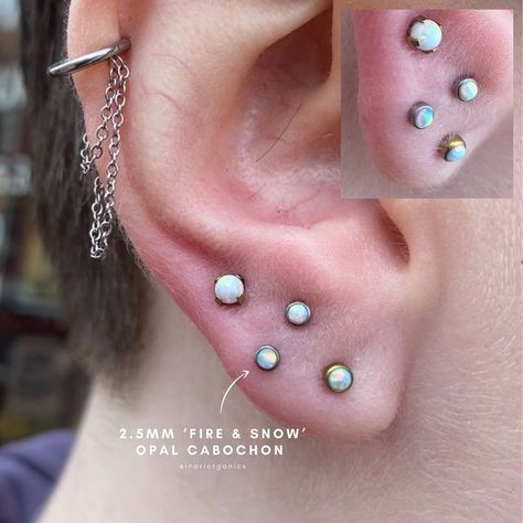 Nico Salt @ Stay Sharp on Instagram: "There will never come a time where piercing Stacked lobes isn’t the highlight of my day, especially when it’s on a good friend of mine @clairesmilesalot Earlobe piercings can be such good fun and versatile. We’re going to be popping a hoop in these once they’ve healed, but for now, here they are looking glorious with @inariorganics_uk / @inariorganics opals, atop the industry’s finest @junipurrjewelry labret posts." Stacked Earlobe Piercing, Stacked Lobe Ear Piercings, Stacked Lobes, Stacked Lobe Piercing, Earlobe Piercings, Highlight Of My Day, Cool Ear Piercings, Body Modification, Lobe Piercing