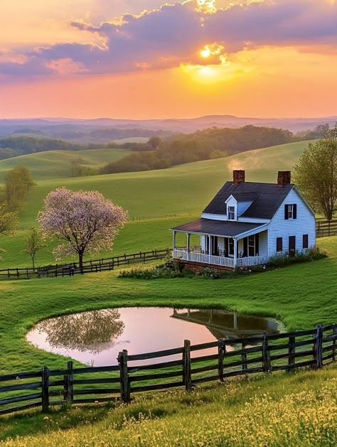 Houses In The Woods Aesthetic, Chestnut Springs Aesthetic, Farm Cottage Aesthetic, Houses With Land, House In Field, House In A Field, House In The Countryside, Countryside View, House With Land