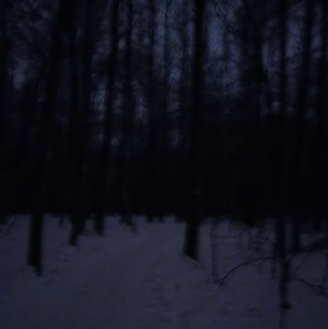 Dark Naturalism, Dark Forest Aesthetic, Snow Night, Snow Forest, Forest Background, Dark Grunge, Winter Background, Night Forest, Snowy Forest