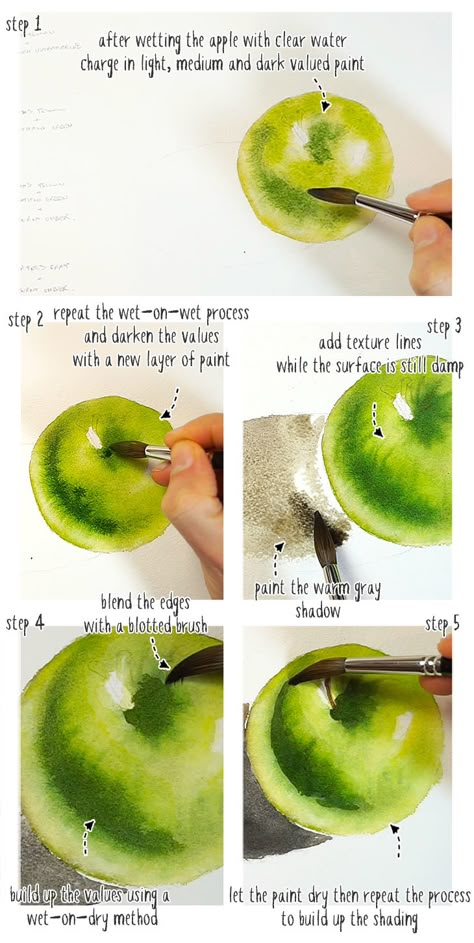 Watercolor Realism Tutorial, Realistic Watercolor Paintings Nature, How To Paint An Apple, Watercolor Combinations Color Combos, Fruit Watercolor Painting Easy, Beginners Watercolor Step By Step, Watercolor Shading Techniques, Realistic Watercolor Painting Techniques, Watercolor Paintings Fruit