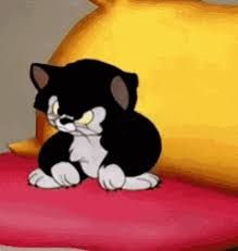 Stubborn GIFs | Tenor Looney Tunes Cartoons, Disney Gif, Funny Cartoon Gifs, Cartoon Gifs, Beautiful Gif, Animated Images, Disney Films, Tom And Jerry, Love Gif