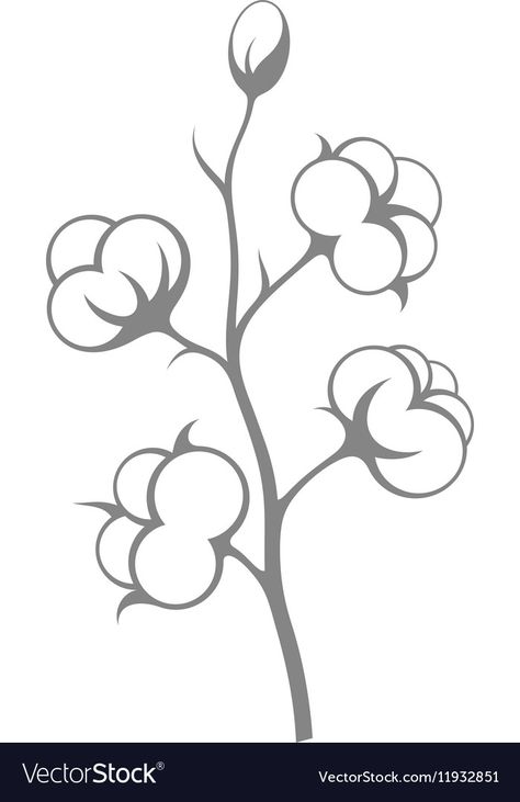 Cotton Flower Illustration, Large Canvas Art Ideas, Canvas Drawing Ideas, Cotton Drawing, Cotton Illustration, Outline Pictures, What Should I Draw, Cotton Tree, Cotton Pictures