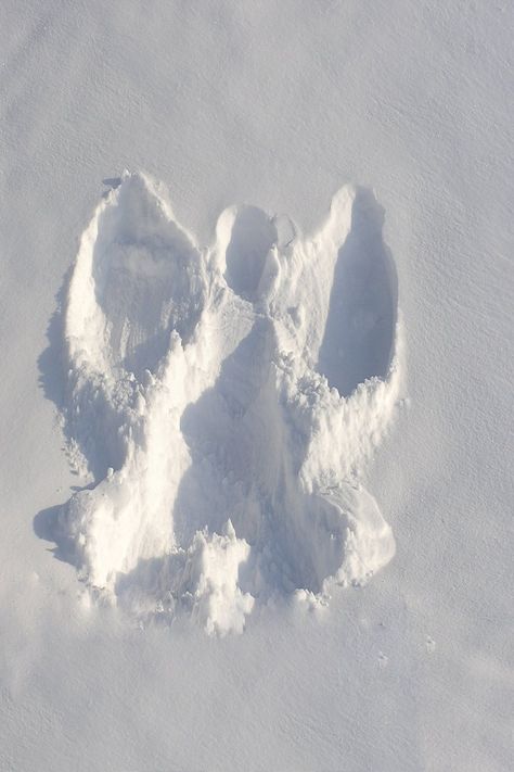 Winters Tale, Weeping Angels, Winter Whites, Snow Pictures, Snow Angel, I Love Winter, Angel Aesthetic, Snowy Winter, Christmas White