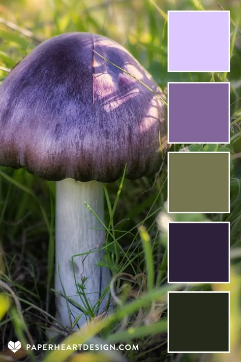 This purple and green mushroom inspired color palette is part of the Mushroom Magic Collection-- perfect for color combos to inspire your next design project, wedding colors, interior design, branding, & more! View hundreds of expertly designed color palettes on our blog! #colorpalette #colorscheme #color #colourpalette #colorinspiration #interiordesign #graphicdesign #weddingcolors #interiordesign #branding #design #fashion #hexcode #mushroom #fungi #purple #green Branding Design Fashion, Interior Design Branding, Shades Of Maroon, Green Mushroom, Mushroom Magic, Different Moods, Purple Color Palettes, Color Design Inspiration, Color Schemes Colour Palettes