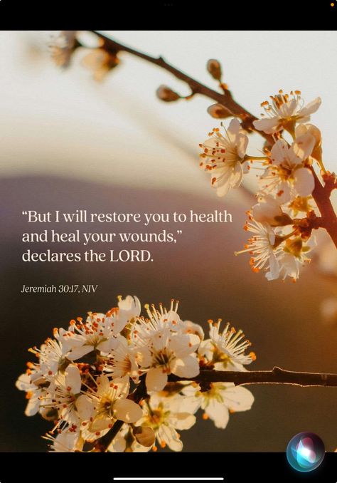 Scripture Of Healing, Faith For Healing, Bible Quote For Healing, Jeremiah 30:17 Health, Scripture For Health And Healing, God And Healing, Encouraging Bible Verses For Healing, Bible Verses About Health, Healing Verses Bible