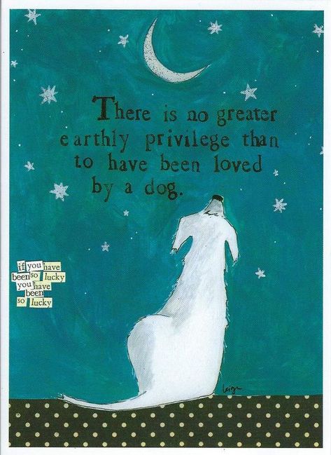 PRICES MAY VARY. Front message: There is no greater earthly privilege than to have been loved by a dog. Mini message: If you have been so lucky you have been so lucky. Blank inside so you can personalize your message. Created by Leigh Standley. Card size: 4 1/2 x 6 1/4. Includes 1 card/1 envelope. Colorful and unique, Curly Girl Cards are sure to bring a smile to anyone who receives one. Artwork and sentiments created by the ever-talented Leigh Standley. Enjoy!