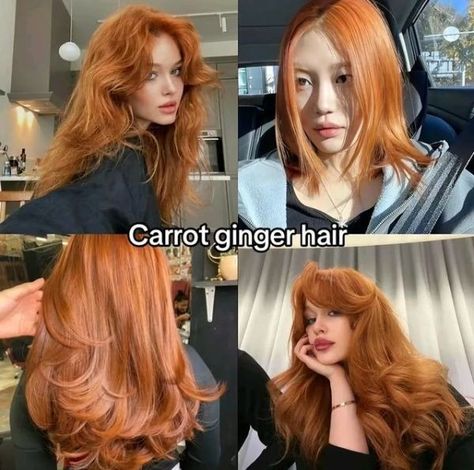 Carrot ginger hair Check out our hair color board for more hair color ideas and hair color inspiration comment and follow for Cool Ginger Hair Color, Ginger Hair With Color, Ginger Box Dye, Carrot Hair Color, Carrot Ginger Hair, Hair Ideas Ginger, Orange Hair On Brown Skin, Types Of Ginger Hair, Shades Of Ginger Hair