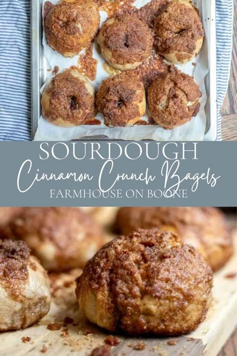 These sourdough cinnamon crunch bagels are a super delicious and possibly addicting breakfast or brunch. Chewy bagels topped with a cinnamon, brown sugar, and butter topping that is baked until caramelized and crunchy. Cinnamon Crunch Sourdough Bagels, S'more Sourdough Bread, Cinnamon Sugar Sourdough Bagels, Sourdough Cinnamon Crunch Bagels, Sourdough Cinnamon Bagels, Breakfast Sourdough Recipes, Recipes With Sourdough Bread, Healthy Sourdough Recipes, Sourdough Snacks