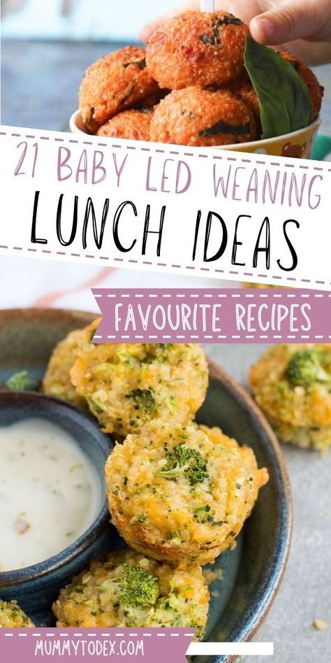 Blw Lunch, Baby Led Weaning Lunch Ideas, Baby Weaning Foods, Baby Meal Ideas, Blw Ideas, Baby Led Weaning First Foods, Baby Lunch, Easy Baby Food, Baby Dinner