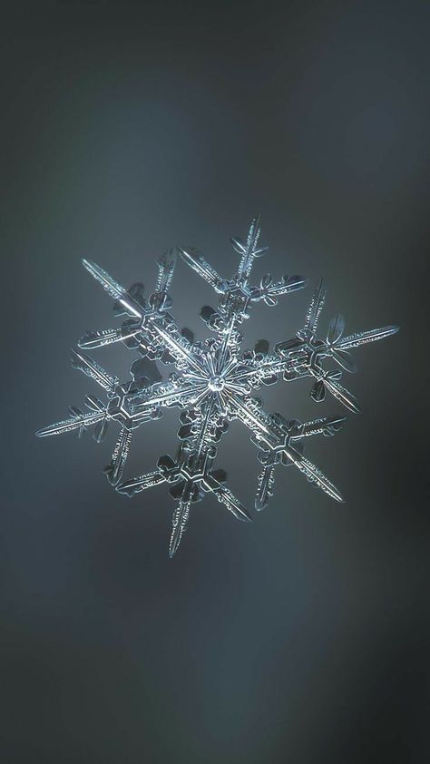 Real Snowflakes Photography, Crystals Decorations, Art Prints Ideas, Purple Rocks, Snowflake Photography, Real Snowflakes, Winter Goddess, Snowflake Pictures, Snow Wallpaper