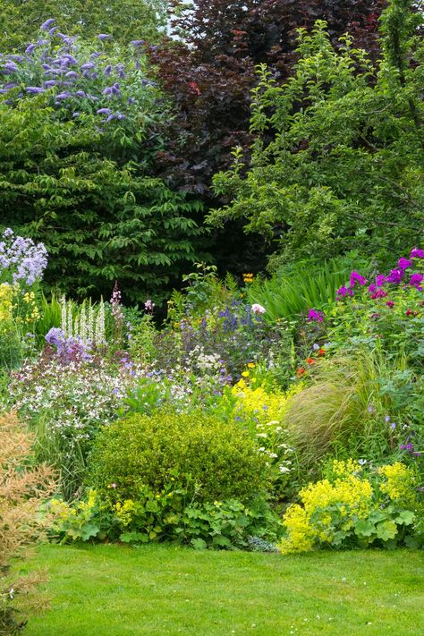 variety english gardens Inside House Plants, Best Perennials For Shade, Emily Murphy, Maine Garden, Ground Orchids, Purple Flowering Plants, Shade Garden Design, English Garden Design, Shade Loving Perennials