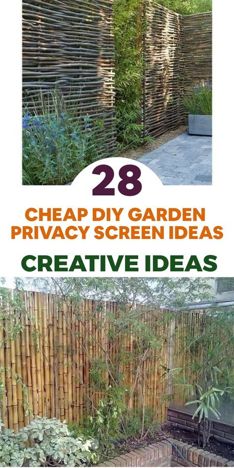 Achieve enhanced privacy in your garden on a budget with these creative DIY ideas! Consider repurposing old doors or shutters into an attractive privacy screen by mounting them strategically. Alternatively, use outdoor fabric or curtains to craft a whimsical and cost-effective divider. Create a cozy outdoor oasis by suspending them from a pergola or fixing them onto a wooden frame. For added charm, adorn the area with twinkling fairy lights to set a magical evening ambiance. Backdoor Steps, Chicken Coop Designs Diy, Privacy Screen Ideas, Diy Privacy Screen, Garden Privacy Screen, Garden Sanctuary, Succession Planting, Diy Garden Ideas, Above Ground Pool Landscaping