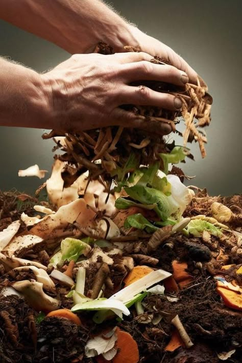 Composting is not merely a smart way to reduce household waste. It's an eco-friendly practice that transforms organic matter into a treasure trove of nutrients for your garden. One of the most abundant and readily available sources of organic material is right in your backyard: yard waste. From grass clippings and leaves to branches and spent flowers, your garden is an endless source of raw material for composting. The Gold in Yard Waste Yard waste might seem insignificant or even a nuisa... Apartment Composting, Green Campaign, Eggplant Varieties, Composting Ideas, Biodegradable Waste, Notebook Labels, Organic Waste, Compost Soil, Biodegradable Materials