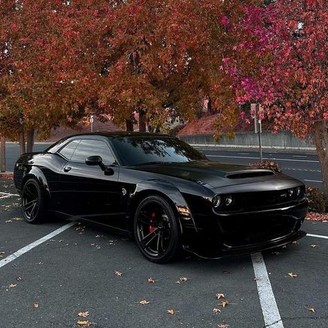 American Classic Cars | Dodge Challenger SRT Hellcat 💣 | Facebook Cars Dodge Challenger, Dodge Challenger Gt, Dodge Challenger Hellcat, Challenger Srt Hellcat, Dream Car Garage, Dodge Challenger Srt Hellcat, Challenger Srt, Dodge Challenger Srt, Srt Hellcat