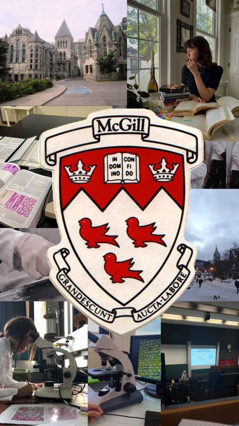 University Aesthetic, Dream Collage, Mcgill University, Dream College, Dream School, University Life, College Application, University Of Toronto, Future Goals