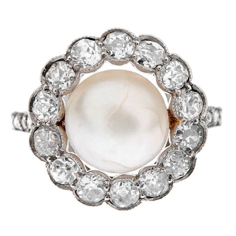 ART DECO Natural Pearl Diamond Platinum Ring c1920 Type Of Dress, Fine Pearl Jewelry, Diamond Platinum Ring, Cowry Shell, Pearl Jewels, Elegant Jewellery, Pearl Rings, Daisy Ring, Pearl And Diamond Ring