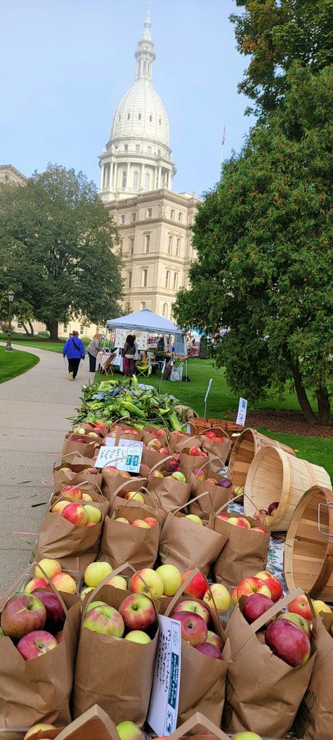 Michigan Aesthetic, Dearborn Michigan, Adventure Ideas, Lansing Michigan, Capitol Building, What Inspires You, Summer Adventures, Farmers Market, Michigan