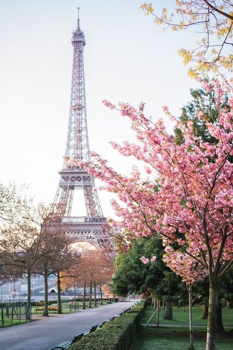 Paris In April, Paris In Spring, Spring In Paris, Paris Wallpaper, Voyage Europe, Visit Paris, The Eiffel Tower, Alam Yang Indah, Paris Travel