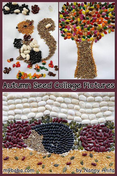 Autumn and animal seed collage crafts.  Great crafts for kids, teens and adults for Autumn Seed Collage, Seed Crafts For Kids, Chemical Equations, Seed Craft, Seed Art, Arts And Crafts For Adults, Arts And Crafts For Teens, Arts And Crafts Kits, Art Projects For Teens