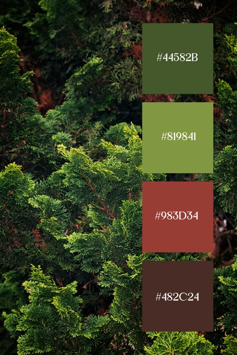 Brown and Green Color Palette: Dense greenery with a backdrop of brown bark, showcasing the vibrant hues of the leaves. The interplay of green and brown creates a deep, forest-like ambiance. Green Forest Palette, Green Complimentary Color Palette, Deep Forest Color Palette, Color Palettes With Green, Green Color Palette Combination, Tropical Colour Palette, Color Pallete Green, Green Brown Color Palette, Green Pallet Color