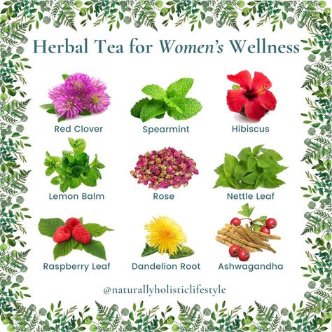 Herbs For Health Tea For Hormone Balance, Toe Nail Fungal Infection, Health Changes, Herbal Vitamins, Dandelion Root Tea, Lemon Balm Tea, Nettle Leaf, Beauty Goddess, Raspberry Leaf