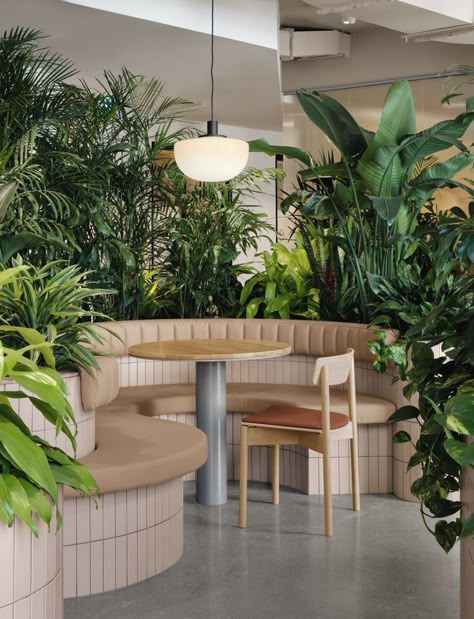 Banquette seating surrounded by greenery at Zendesk's Montreal office Villa Concept, Coffee Shop Concept, Traditional Desk, Booth Seating, Office Space Design, Biophilic Design, Scandi Design, Banquette Seating, Office Plants