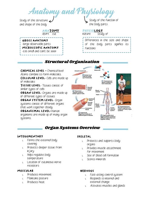 Nursing School Anatomy And Physiology, Introduction To Human Body Notes, Systems In The Body Human Anatomy, The Human Body An Orientation Notes, Anatomy And Physiology Notes Muscles, Nursing Anatomy Notes, College Anatomy And Physiology, Anatomy And Physiology Terminology, Anatomy And Physiology Bones Study