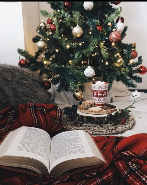 Christmas Bookshelf, Christmas Aesthetics, Christmas Reading, Christmas Feeling, Warm Christmas, Christmas Inspo, Christmas Book, Christmas Wonderland, Winter Vibes