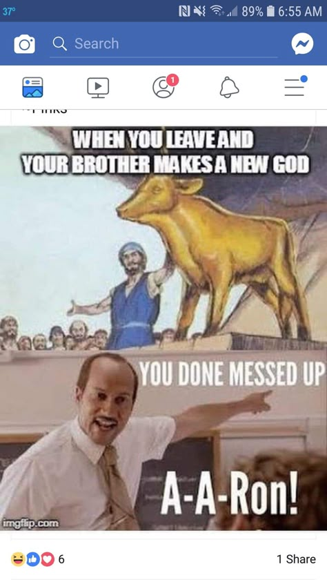 Church Jokes, Jesus Jokes, Bible Jokes, Funny Christian Jokes, Lds Memes, Church Memes, Catholic Humor, Church Humor, Funny Day Quotes