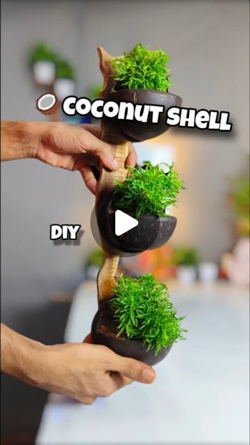 Coconut Shell Crafts Diy, Coconut Shell Art, Coconut Decoration, Bappa Photo, Coconut Shell Crafts, Pot Diy, Coconut Leaves, Diy Coconut, Shells Diy