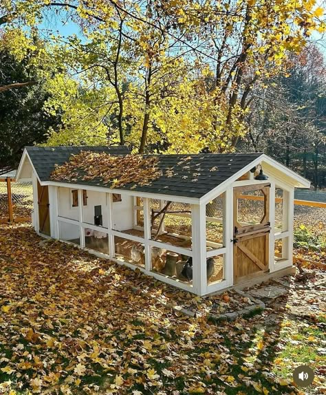 Kandang Hamster, Chicken Coop Building Plans, Coop Accessories, Cute Chicken Coops, Chicken Coop Garden, Backyard Chicken Coop Plans, Chicken Coup, Diy Chicken Coop Plans, Backyard Chicken Farming