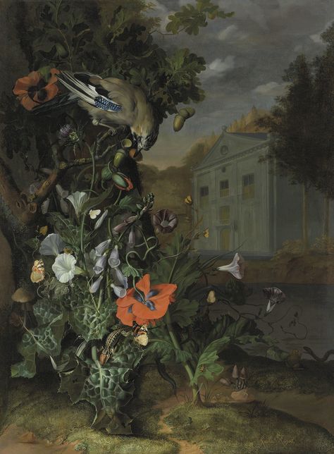 Rachel Ruysch, Classical Facade, Dutch Still Life, Female Painters, Dutch Golden Age, Forest Floor, Nature Landscape, Still Life Painting, Golden Age